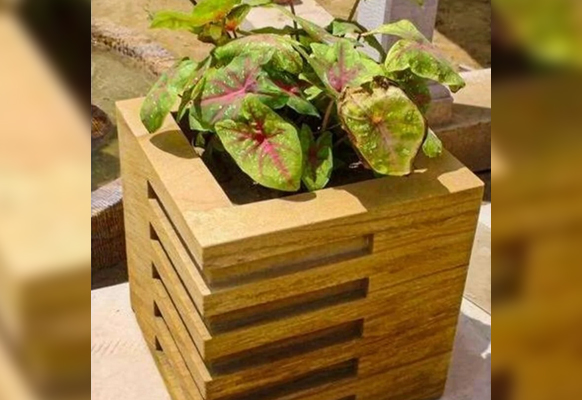 Yellow Teak Sand Stone Planter
